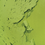 Cercle Vert Bio