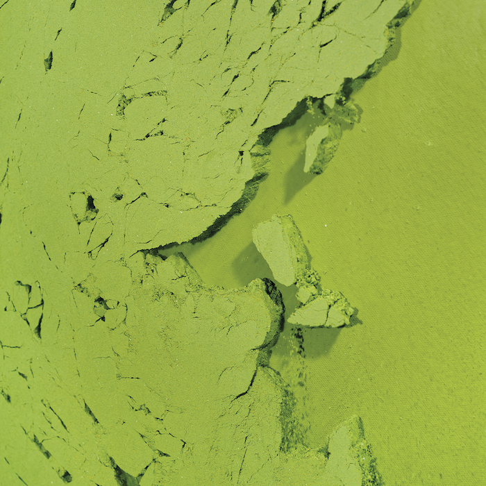 Cercle Vert Bio